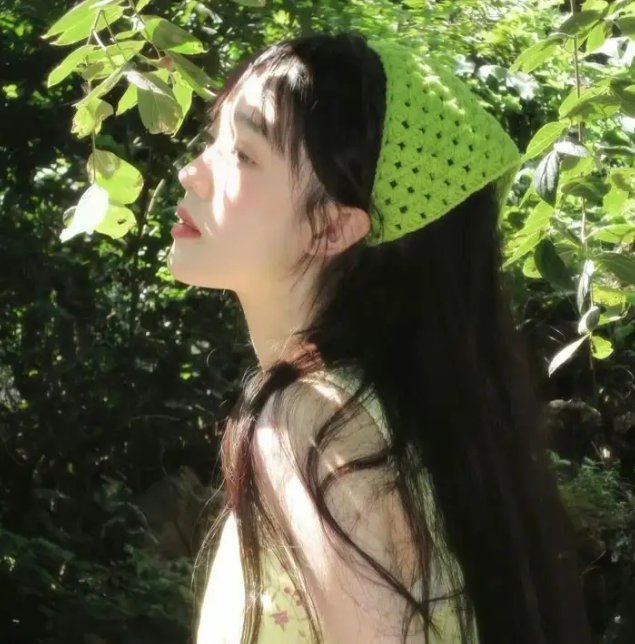 南来北往
